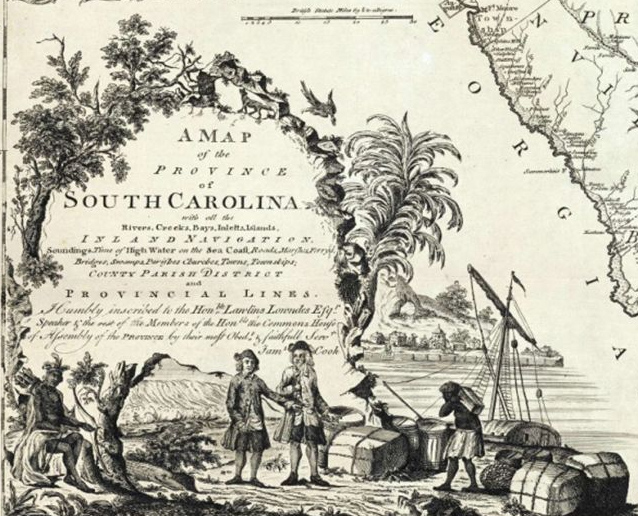 Indigo in the South Carolina Colony
