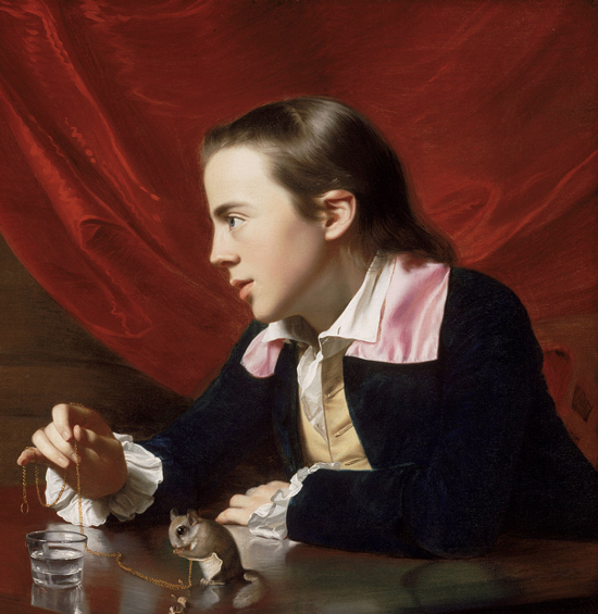The Boy with the Squirrel (Henry Pelham) (1765)