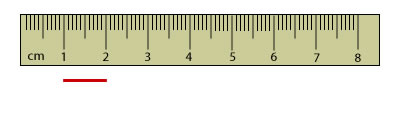ruler2.jpg