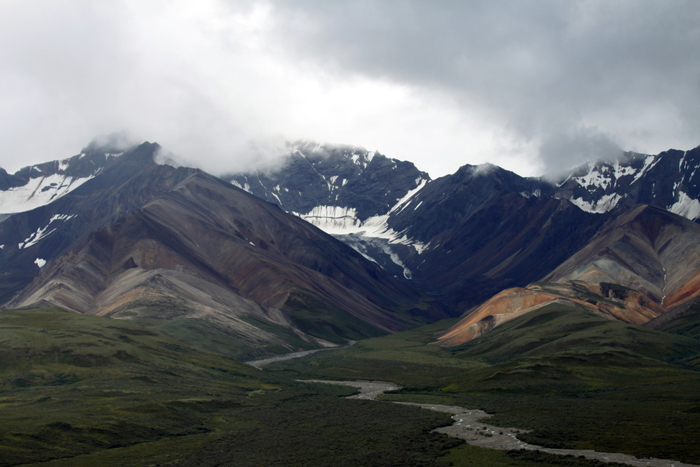 Denali National Park