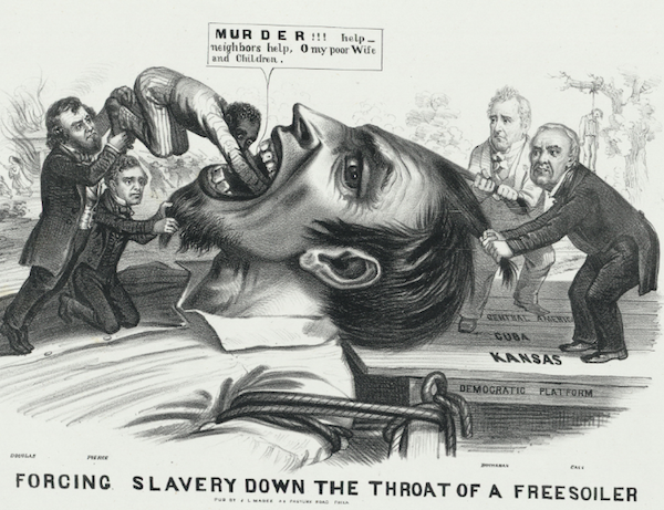 Franklin Pierce Political Cartoon
