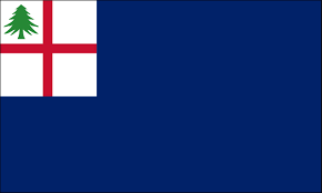 Bunker Hill Flag