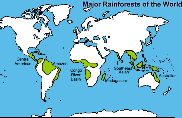 Major rainforests of the World