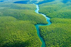 Amazon River
