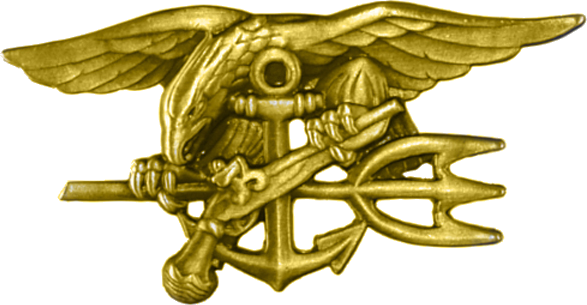 All About the Navy Seals - Article