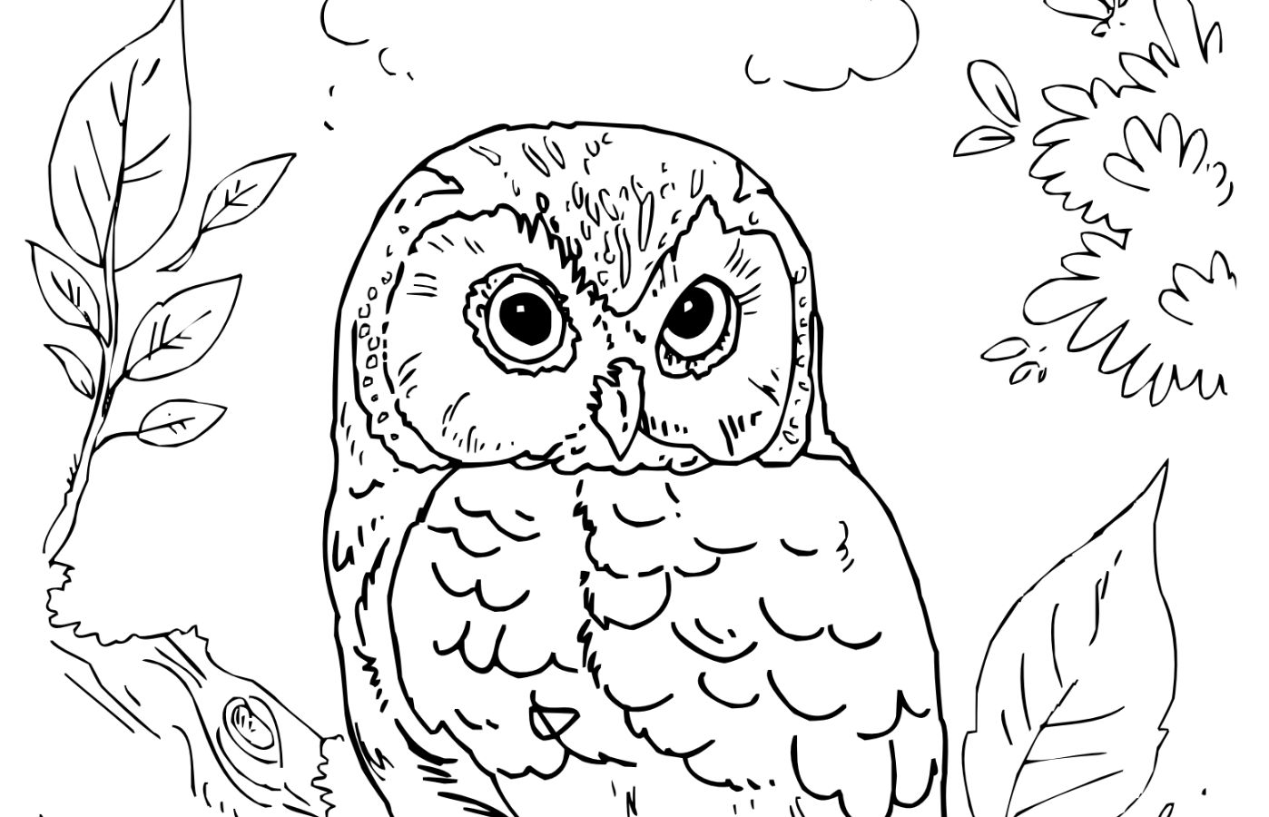 Saw-whet Owl Coloring Page